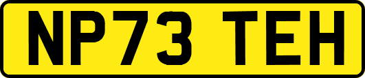 NP73TEH
