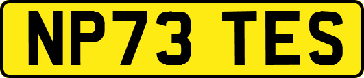 NP73TES
