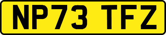 NP73TFZ