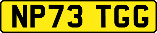 NP73TGG