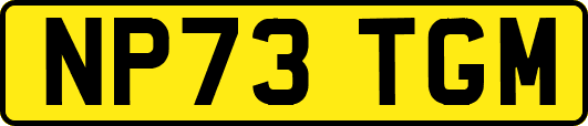 NP73TGM