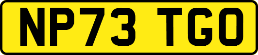 NP73TGO
