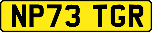 NP73TGR