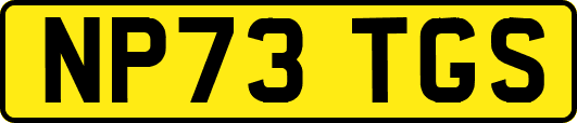 NP73TGS