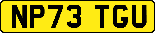 NP73TGU