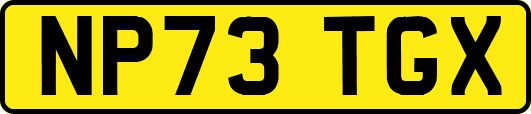NP73TGX