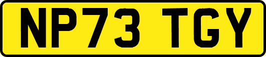 NP73TGY