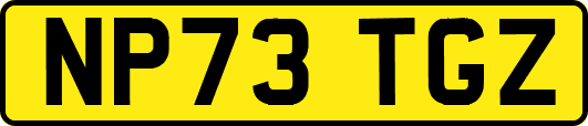 NP73TGZ