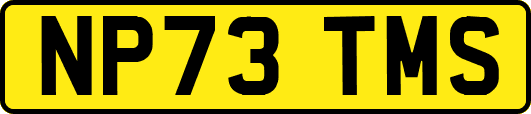 NP73TMS
