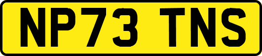 NP73TNS