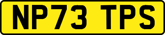 NP73TPS