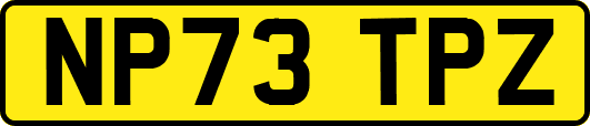 NP73TPZ