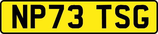 NP73TSG