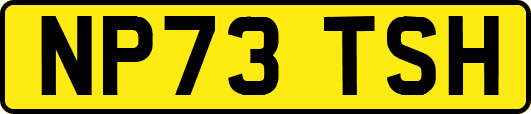 NP73TSH
