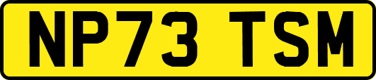 NP73TSM