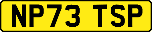 NP73TSP