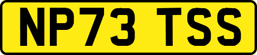 NP73TSS