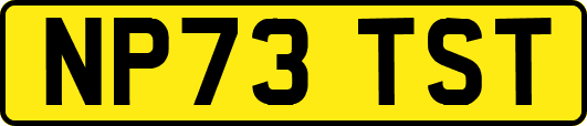 NP73TST