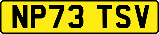 NP73TSV