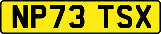 NP73TSX