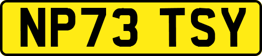NP73TSY