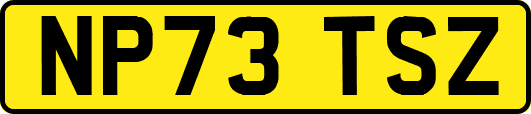 NP73TSZ