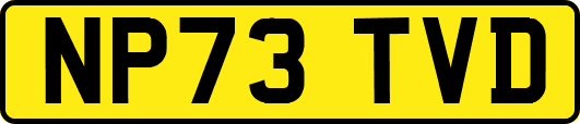 NP73TVD