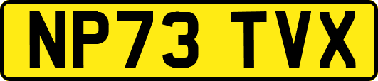 NP73TVX