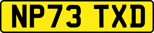 NP73TXD