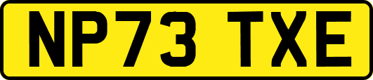 NP73TXE