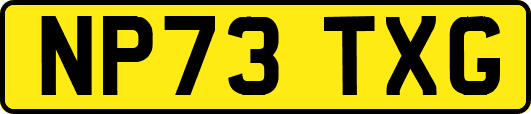 NP73TXG