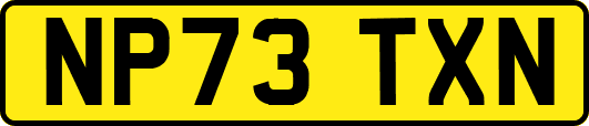 NP73TXN
