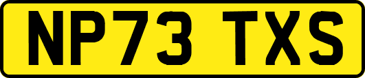NP73TXS