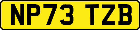 NP73TZB