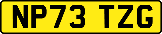 NP73TZG
