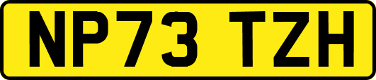 NP73TZH