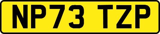 NP73TZP