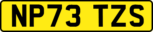 NP73TZS
