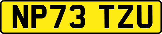 NP73TZU