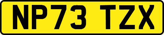 NP73TZX