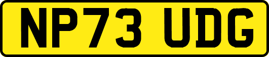 NP73UDG