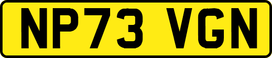 NP73VGN