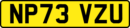 NP73VZU