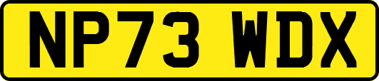NP73WDX