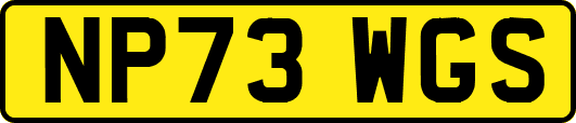 NP73WGS