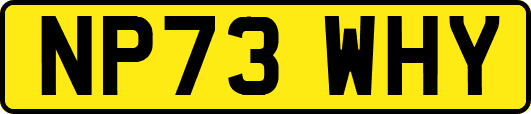 NP73WHY