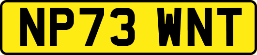 NP73WNT