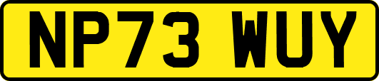 NP73WUY
