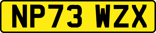 NP73WZX
