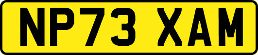 NP73XAM